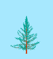 greenshift tree