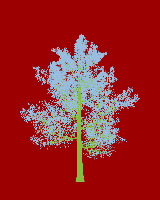 greenshift tree
