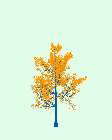 greenshift tree