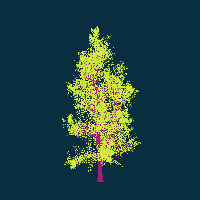 greenshift tree
