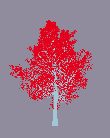 greenshift tree
