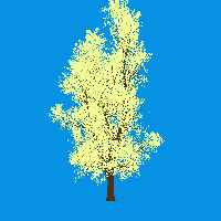 greenshift tree