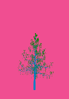 greenshift tree