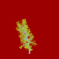 greenshift tree