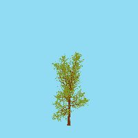 greenshift tree