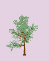 greenshift tree