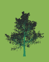 greenshift tree