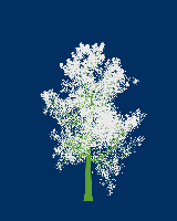 greenshift tree