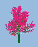 greenshift tree