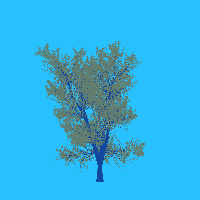 greenshift tree