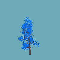 greenshift tree