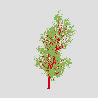 greenshift tree