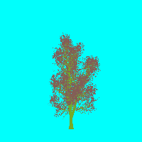 greenshift tree