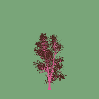 greenshift tree