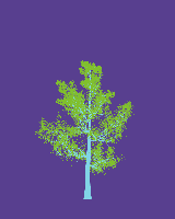 greenshift tree