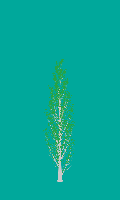 greenshift tree