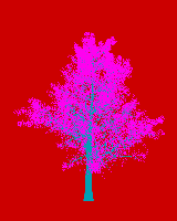 greenshift tree