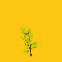 greenshift tree