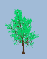 greenshift tree