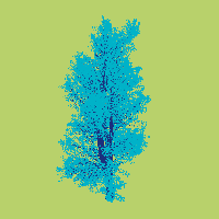 greenshift tree