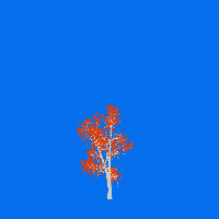 greenshift tree
