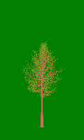 greenshift tree