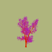 greenshift tree