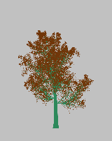 greenshift tree
