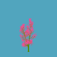 greenshift tree