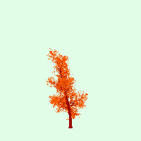 greenshift tree