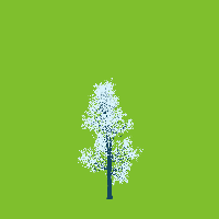 greenshift tree