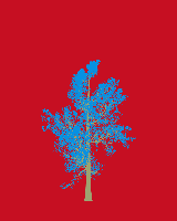 greenshift tree