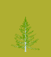 greenshift tree