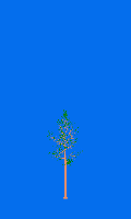 greenshift tree
