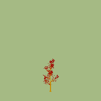 greenshift tree