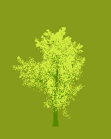 greenshift tree