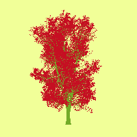 greenshift tree