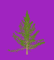 greenshift tree