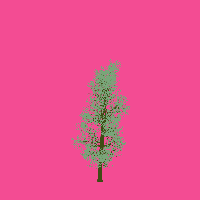 greenshift tree