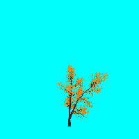 greenshift tree