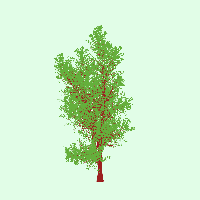 greenshift tree