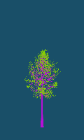 greenshift tree