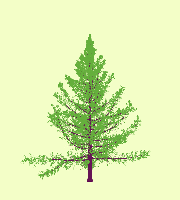 greenshift tree
