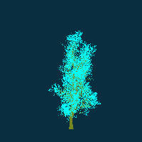 greenshift tree