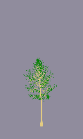 greenshift tree