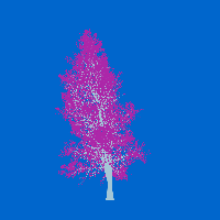 greenshift tree