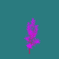 greenshift tree