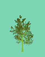 greenshift tree