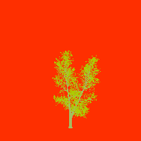 greenshift tree