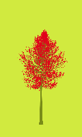 greenshift tree